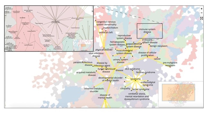 Neighborhood Explorer in SPOKE